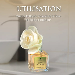 DIFFUSEUR À FLEURS 100ml – CÈDRE DE L’ATLAS