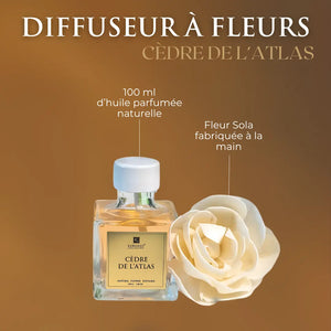 DIFFUSEUR À FLEURS 100ml – CÈDRE DE L’ATLAS