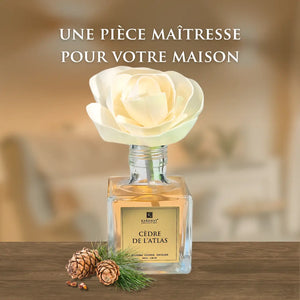 DIFFUSEUR À FLEURS 100ml – CÈDRE DE L’ATLAS
