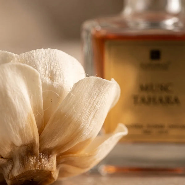 Diffuseur à Fleurs 100ml – infographie bénéfices