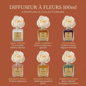Diffuseur à Fleurs 100ml – les 6 parfums expliqués : Musc Tahara, Musc d'Orient, Oud Purple, Bouquet Royal, Western Vanilla, Cèdre de l'Atlas